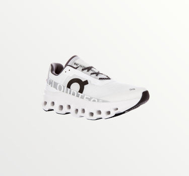 on cloud monster white grey